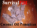 How To Make Pemmican With Coconut Oil