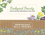 Backyard Bounty: How To Eat The Wild Plants In Your Yard